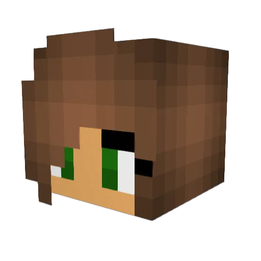 nic203 Minecraft avatar head, 3D render