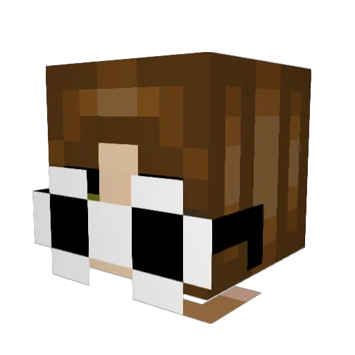 nic_stic Minecraft avatar head, 3D render