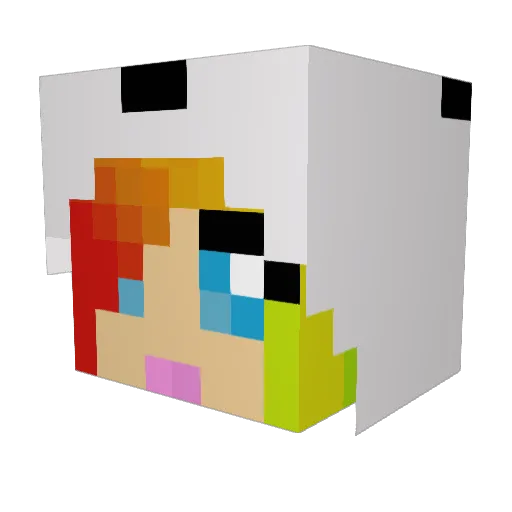nica1001 Minecraft avatar head, 3D render
