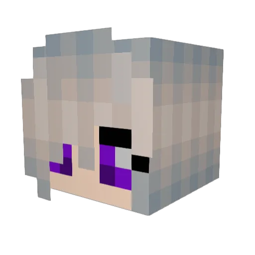 niccidoves Minecraft avatar head, 3D render