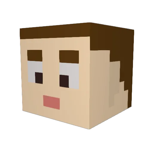 niccoletessa Minecraft avatar head, 3D render
