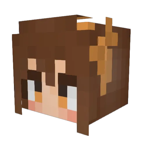 nice1218 Minecraft avatar head, 3D render