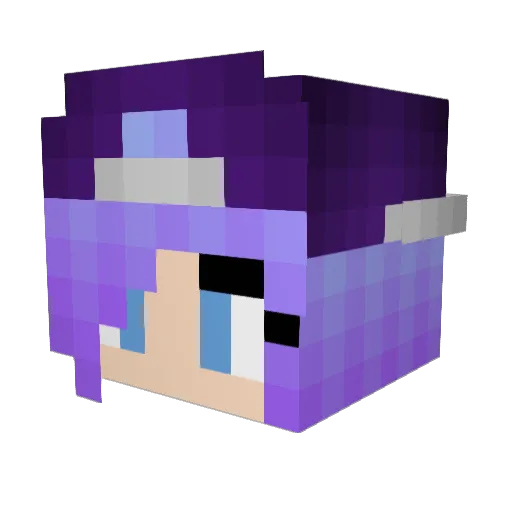 nice2017 Minecraft avatar head, 3D render