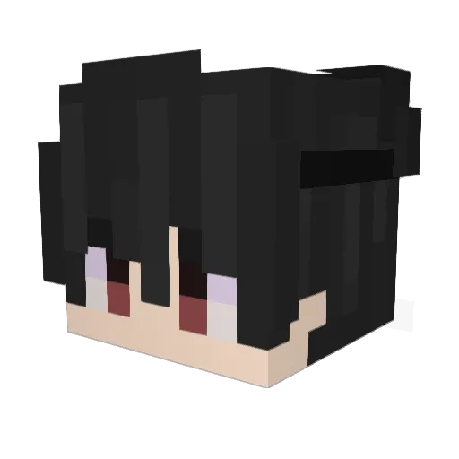 nice_kungZ Minecraft avatar head, 3D render