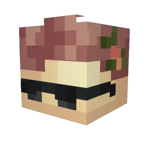 niceba1t Minecraft avatar head, 3D render