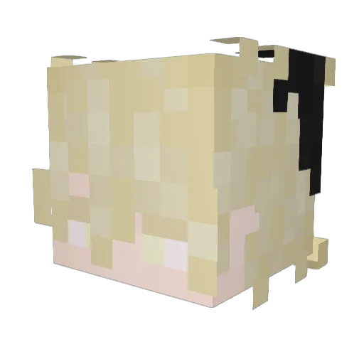 niceday2you Minecraft avatar head, 3D render