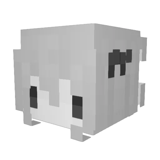 niceguy28 Minecraft avatar head, 3D render