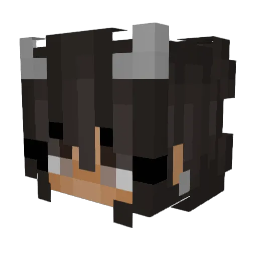 nicelifx Minecraft avatar head, 3D render