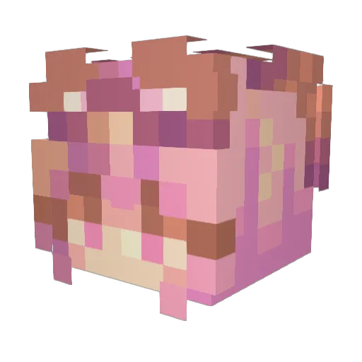 nichaudnifroid Minecraft avatar head, 3D render