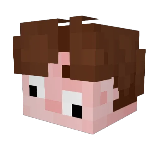 niche_ateeq Minecraft avatar head, 3D render