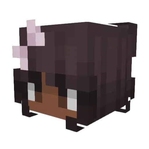 nichnolled Minecraft avatar head, 3D render