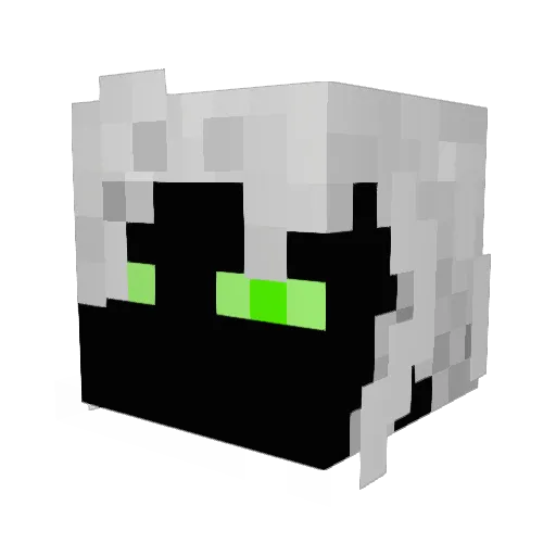 nichtmehr Minecraft avatar head, 3D render