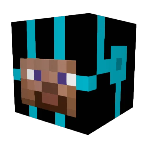nici1234 Minecraft avatar head, 3D render