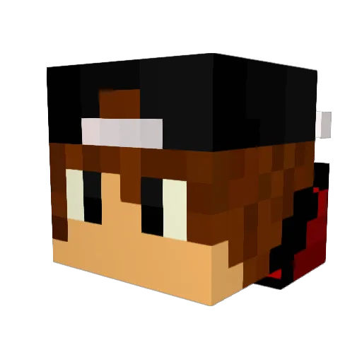 nicianer Minecraft avatar head, 3D render