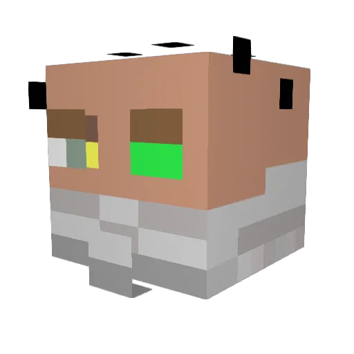 nick00ksus Minecraft avatar head, 3D render
