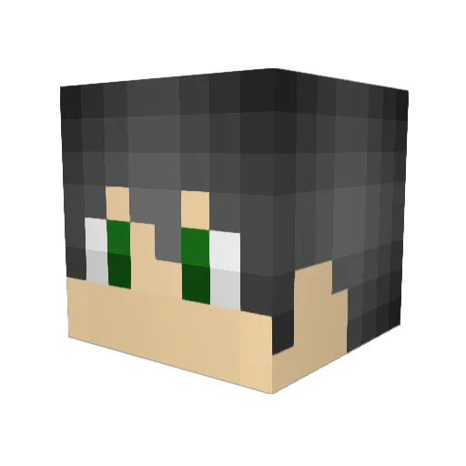 nick080804 Minecraft avatar head, 3D render