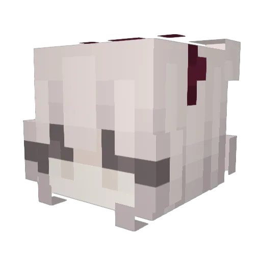 nick12345678909 Minecraft avatar head, 3D render