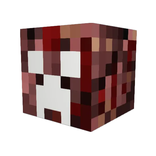 nick_bartus Minecraft avatar head, 3D render
