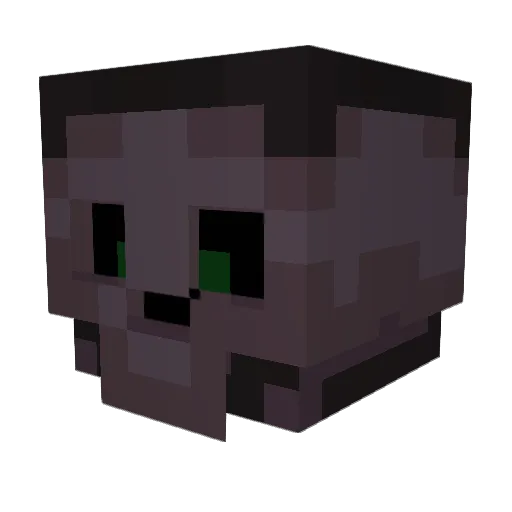 nick_ninj Minecraft avatar head, 3D render