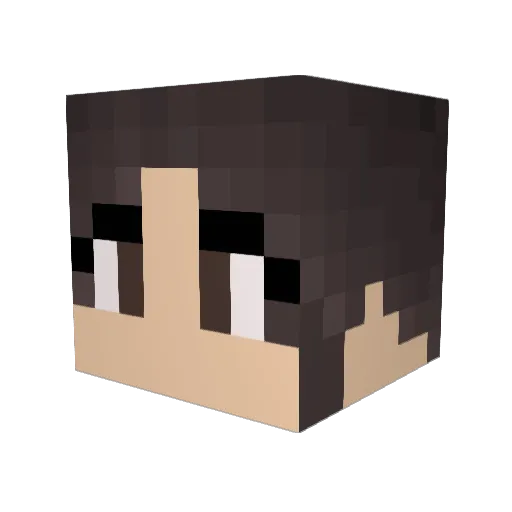 nickagamr Minecraft avatar head, 3D render