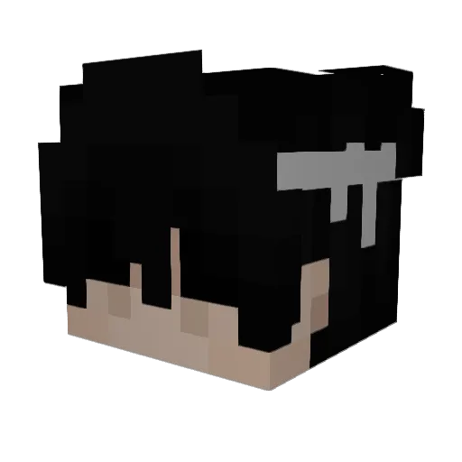 nickdacooki Minecraft avatar head, 3D render