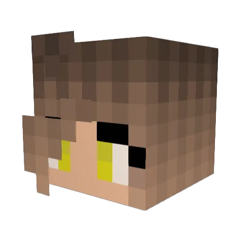 nickel13 Minecraft avatar head, 3D render