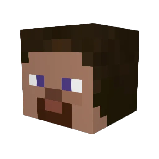 nickelodeon06 Minecraft avatar head, 3D render