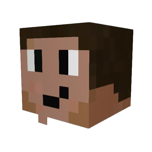 nickflorida Minecraft avatar head, 3D render