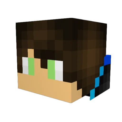 nickgames55 Minecraft avatar head, 3D render