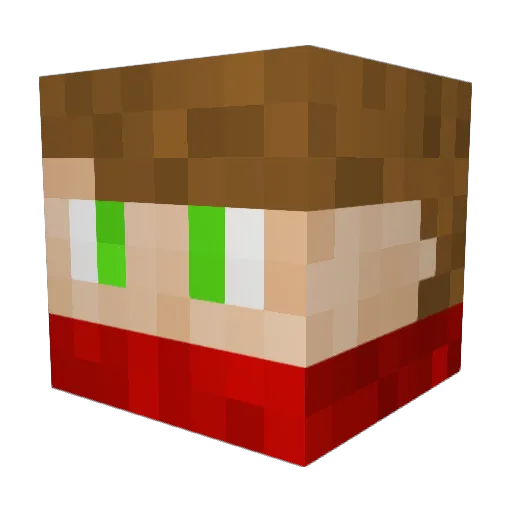 nickidoodle Minecraft avatar head, 3D render