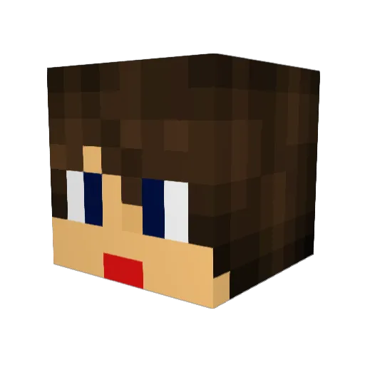 nickiespark Minecraft avatar head, 3D render