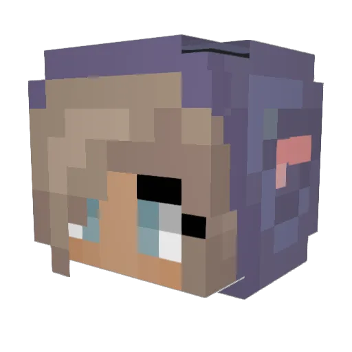 nickistan42 Minecraft avatar head, 3D render