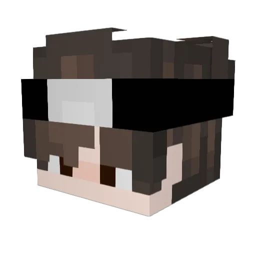 nickksx1 Minecraft avatar head, 3D render