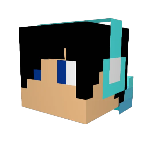 nicklas1234dj Minecraft avatar head, 3D render