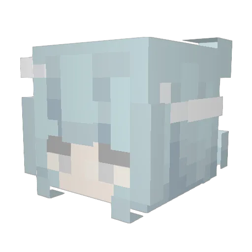 nicklas20135 Minecraft avatar head, 3D render