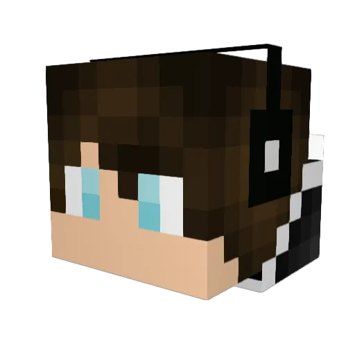 nicklasbk99 Minecraft avatar head, 3D render