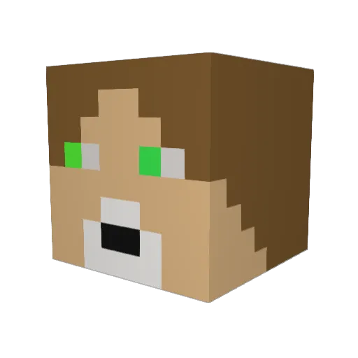 nickle888 Minecraft avatar head, 3D render