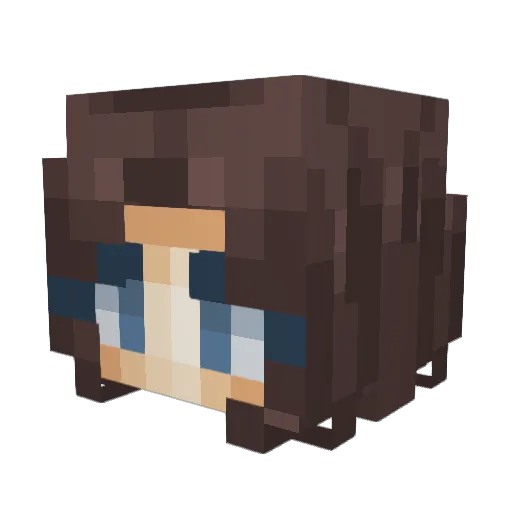 nicklenickle69 Minecraft avatar head, 3D render