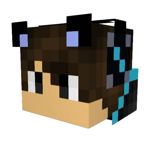 nickm19 Minecraft avatar head, 3D render