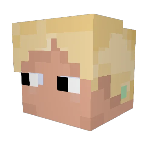 nicko_ Minecraft avatar head, 3D render