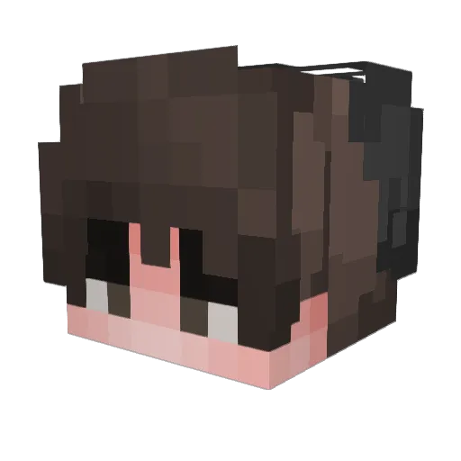 nickohlas Minecraft avatar head, 3D render