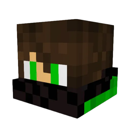 nickp2722 Minecraft avatar head, 3D render