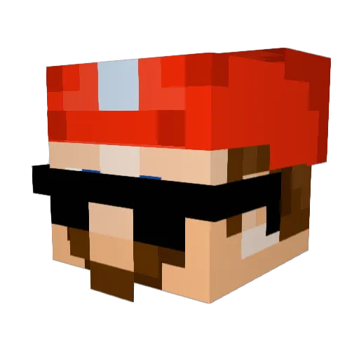 nickprogamer123 Minecraft avatar head, 3D render