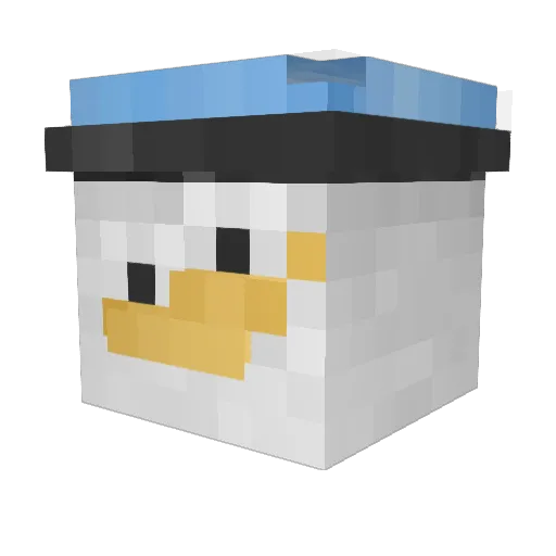 nickr102 Minecraft avatar head, 3D render