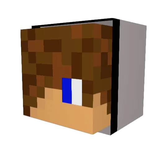 nicksam10 Minecraft avatar head, 3D render