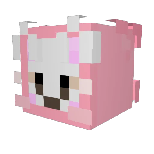 nicksan007 Minecraft avatar head, 3D render