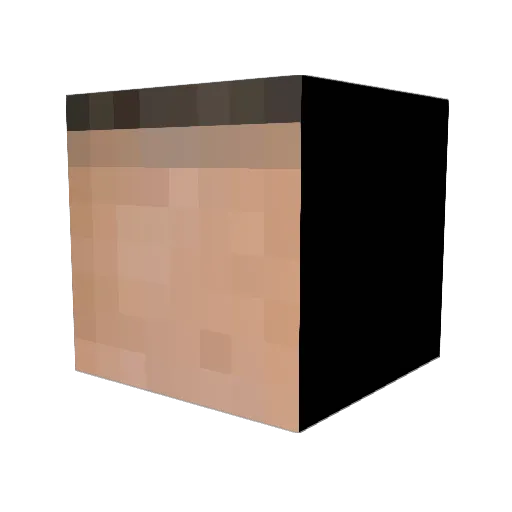 nicksoabglover Minecraft avatar head, 3D render