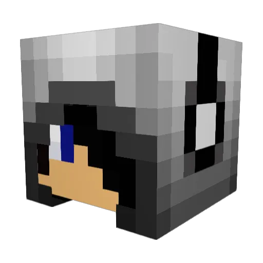 nickum452 Minecraft avatar head, 3D render