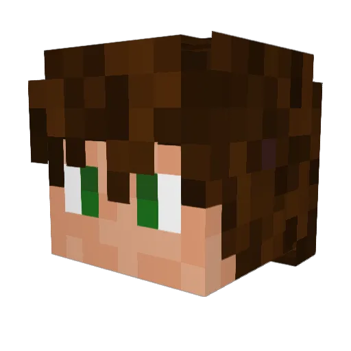 nickvdri24 Minecraft avatar head, 3D render