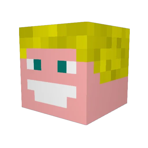 nickwithfro Minecraft avatar head, 3D render